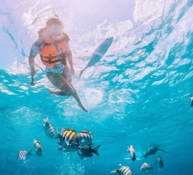 Puerto Vallarta: Los Arcos Islands Boat Tour and Snorkeling - What to bring and what to know