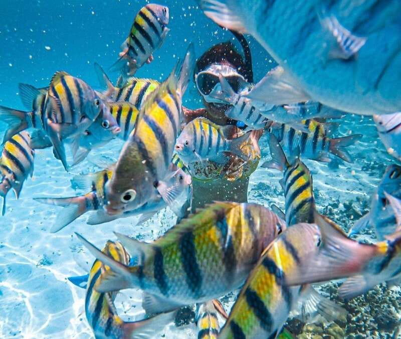 Puerto Vallarta: Los Arcos Islands Boat Tour and Snorkeling - Mismaloya beach sets the tone