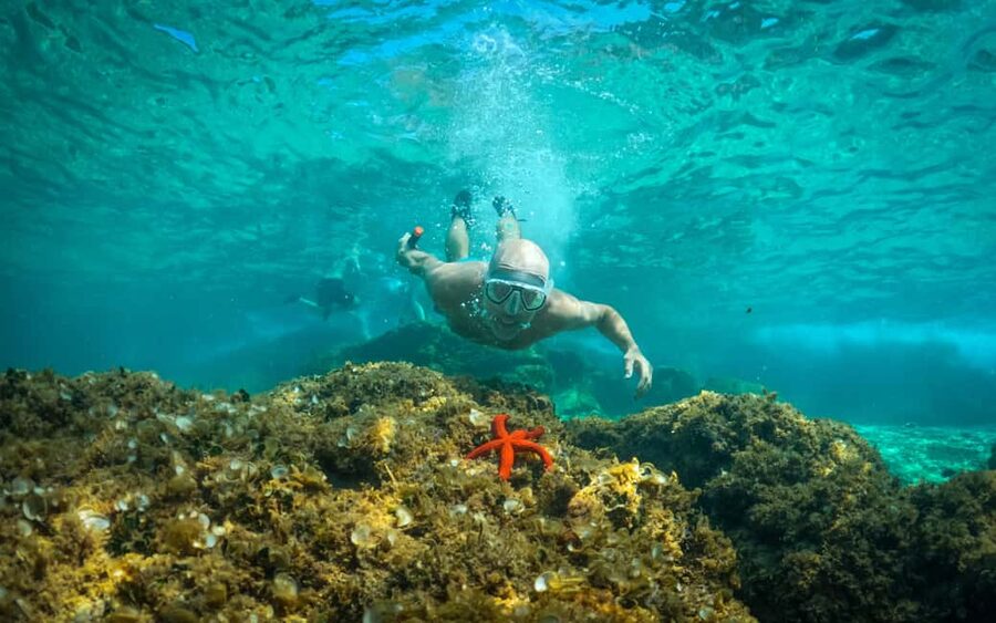 Pula: Kayaking,Snorkeling, Cliff jumping Tour with Wetsuit - Starting at Zelenika Beach