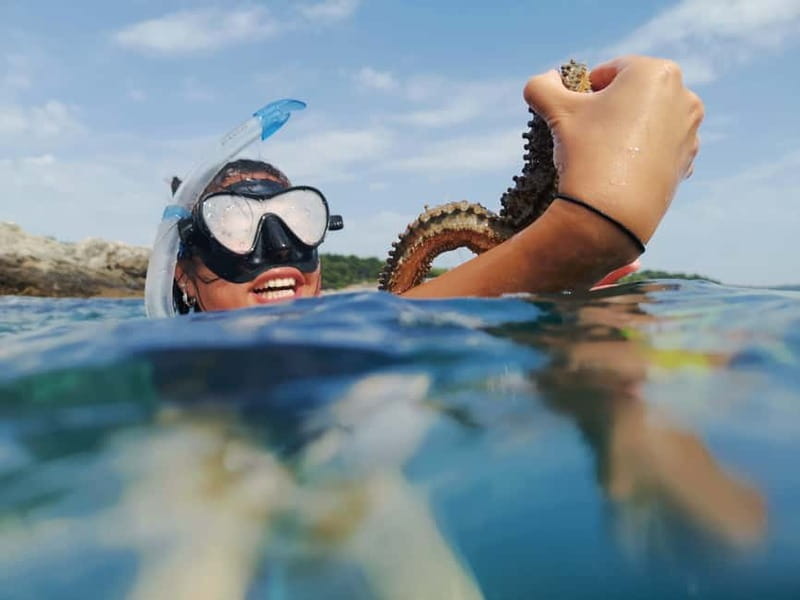 Pula: Sea Adventure – Boat, Kayak, Snorkeling & Cliff Jumps - Why the boat-to-kayak plan works so well