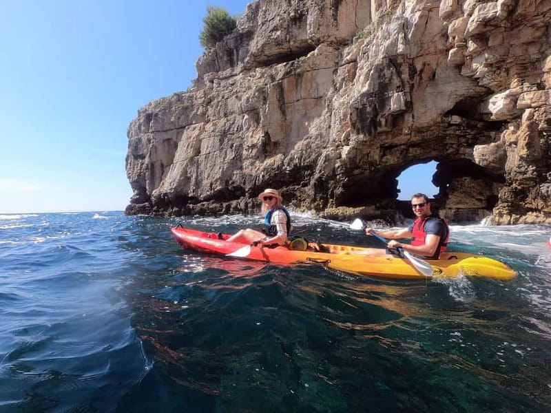 Pula: Sea Adventure – Boat, Kayak, Snorkeling & Cliff Jumps - Wildlife around the Muzil Peninsula