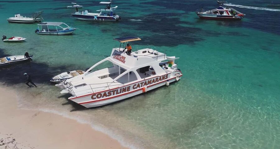 Punta Cana: Catamaran Tour with Reef Snorkeling and Open Bar - The snorkeling stop brings the most value