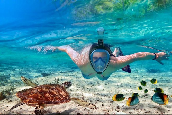Punta Cana Combo Tour: Snorkeling, Catamaran Cruise & Parasailing - The hidden cost of waiting