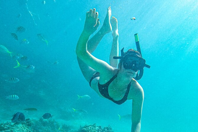 Punta Cana Exclusive Adults-Only Snorkel with Food and Drinks - Pickup sets an easy tone