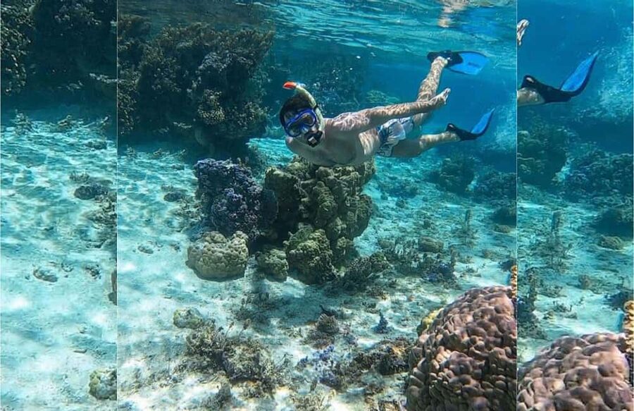 Punta Cana: Full-day Snorkelling Tour in Catalina Island - The Punta Cana to La Romana transfer
