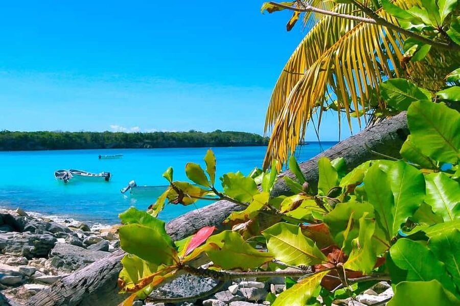 Punta Cana or La Romana: Catalina Island Tour and Snorkeling - Catalina Island is about the water, not a packed sightseeing schedule