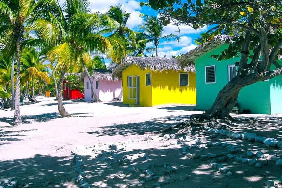 Punta Cana or La Romana: Catalina Island Tour and Snorkeling - What the coral wall snorkeling is really like