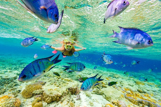 Punta Cana Parasailing & Snorkeling Cruise Experience - Key Points to Know Before You Book