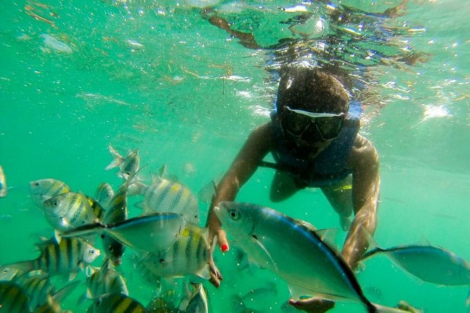 Punta Cana Party Boat Snorkeling with Music DJ and Open Bar - What kind of Punta Cana outing is this?