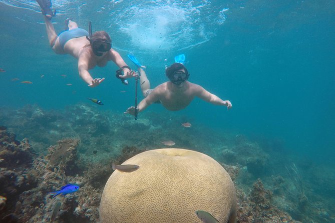 Punta Cana Private Cruise Up To 10 Snorkeling & Seafood lunch - Key Points Before You Book