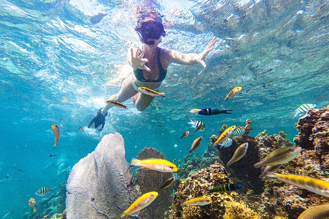 Punta Cana Private Cruise Up To 10 Snorkeling & Seafood lunch - What You Are Paying For at $1,062.50