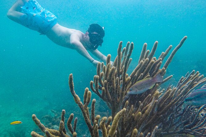 Punta Cana Private Cruise Up To 10 Snorkeling & Seafood lunch - Seafood from the Floating Kitchen