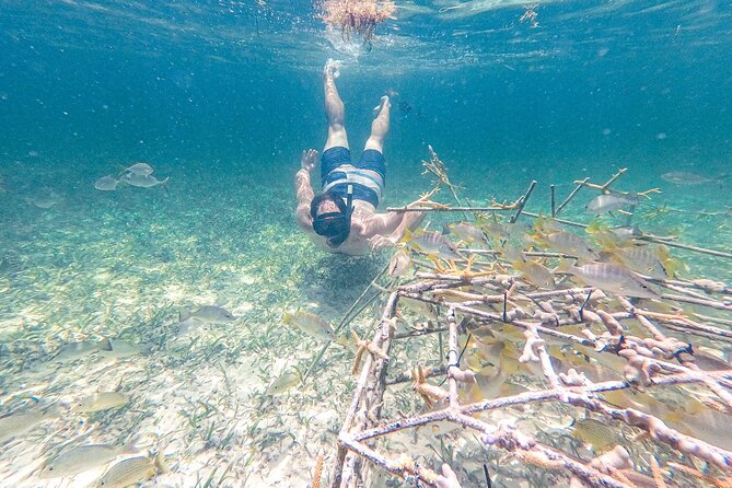 Punta Cana Private Cruise Up To 10 Snorkeling & Seafood lunch - Photos, Tips, and Small Practical Details