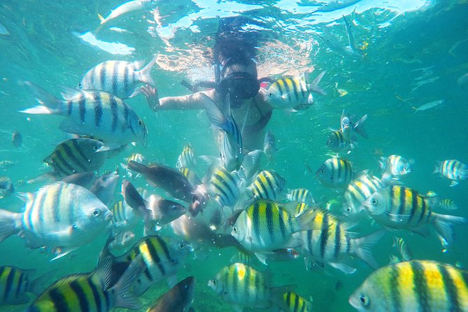 Punta Cana Private Cruise Up To 10 Snorkeling & Seafood lunch - Pickup and the First Hour on the Water