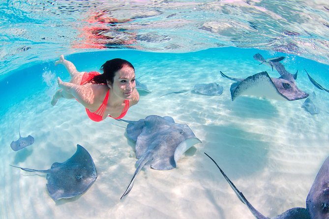 Punta Cana Private Virgen Beach Small & Big Group Snorkel Cruise - Timing, comfort, and who will enjoy it