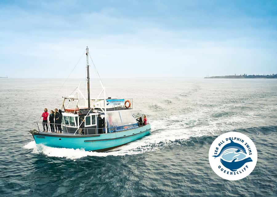 Queenscliff Harbour: 3.5hr Seal & Dolphin Snorkelling Tour - Searching for dolphins in Port Phillip Bay