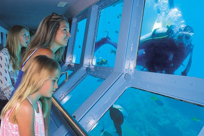 Quicksilver Great Barrier Reef Snorkel Cruise from Port Douglas - Why Agincourt Reef makes a good base