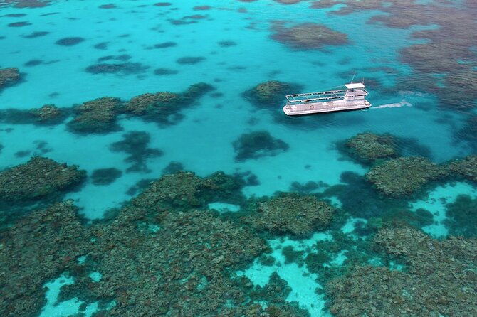 Quicksilver Great Barrier Reef Snorkel Cruise from Port Douglas - Semi-submarine views for non-swimmers