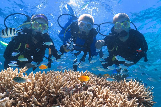 Quicksilver Great Barrier Reef Snorkel Cruise from Port Douglas - Optional scuba, Ocean Walker, and helicopter flights