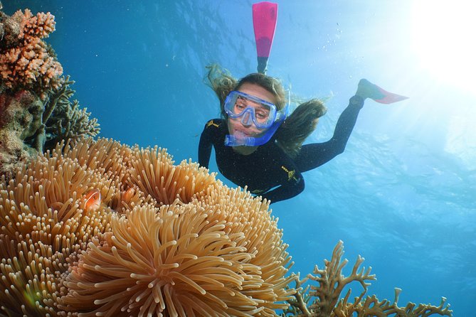 Quicksilver Great Barrier Reef Snorkel Cruise from Port Douglas - How much value do you get for $233.10?