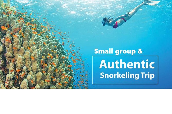 REAL snorkel &island hopping by SPEEDBOAT-EXPLORE CUISINES(MAX12) - Kim Quy Island and the first coral site