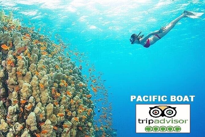 Real snorkel trip by speedboat with small group on Cham island - Two hours of snorkeling around Cham Island