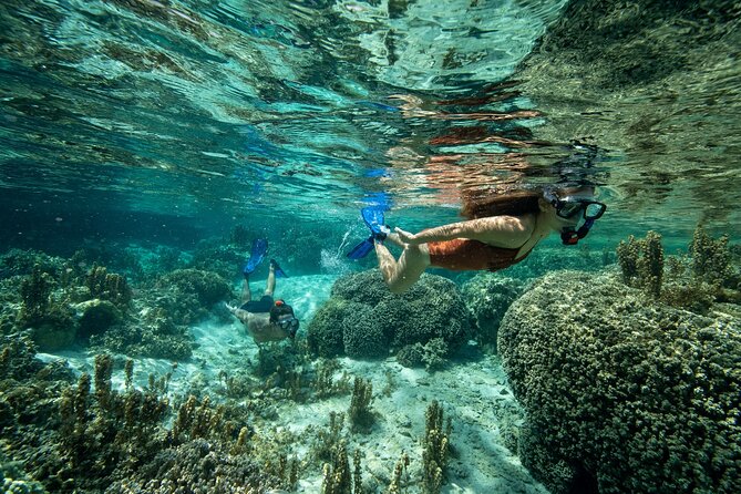 Reef Discovery Luxury Private Snorkeling Lagoon Tour - Best fit for couples, families, and small groups