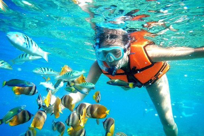 Reef Snorkeling in National Park from Cancun with Beachside Lunch - Reaching Puerto Morelos from Cancun