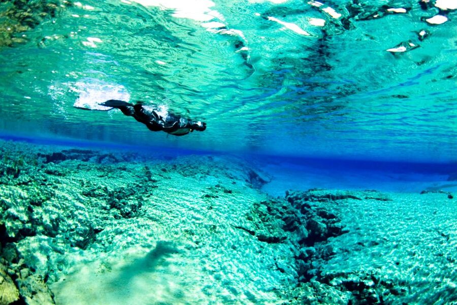 Reykjavik: Silfra Snorkeling & Lava Tunnel Adventure Combo - What Silfra feels like from the water