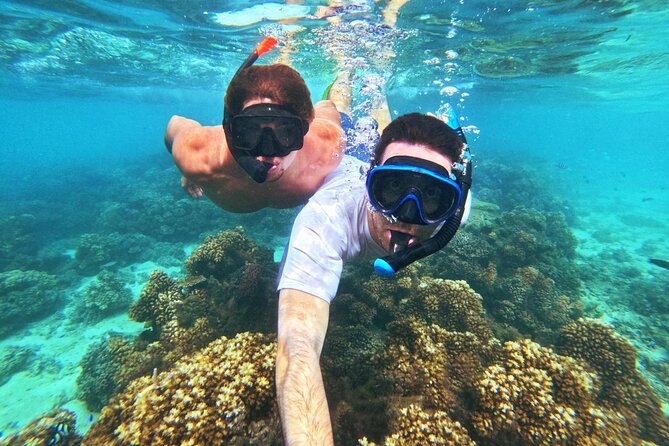 Ride & Slide by South Sea Cats - Half Day Snorkelling Trip - Who will enjoy Ride and Slide most?