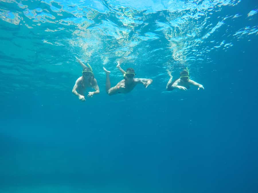 Rio: Snorkel & Swim with Turtles Tour at Tijuca Islands - Leaving from Ilha da Coroa in Barra da Tijuca