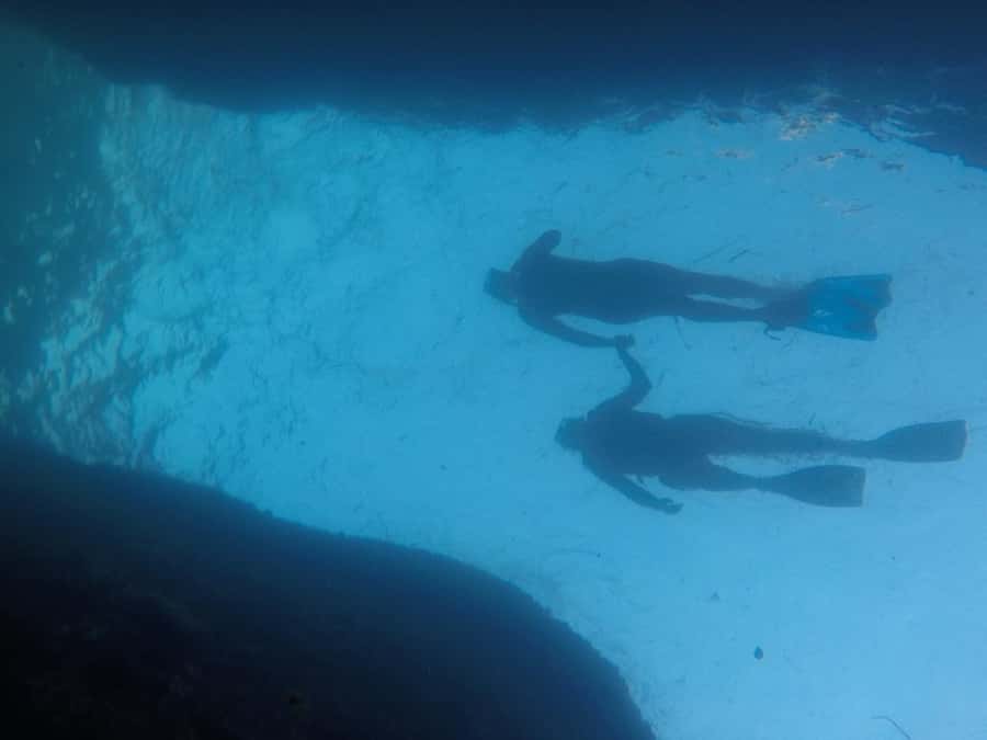 Rio: Snorkel & Swim with Turtles Tour at Tijuca Islands - Snorkeling around the Tijuca Islands