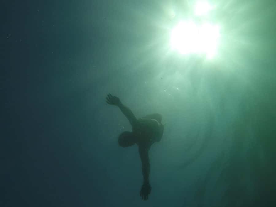 Rio: Snorkel & Swim with Turtles Tour at Tijuca Islands - Wildlife, water conditions, and realistic expectations