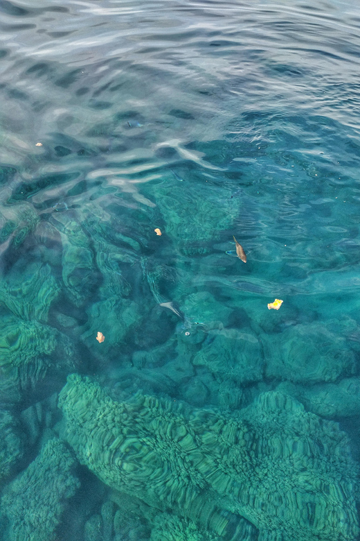 Riomaggiore: Cinque Terre Daytime Cruise with Snorkeling - Why seeing Cinque Terre from the water changes the day