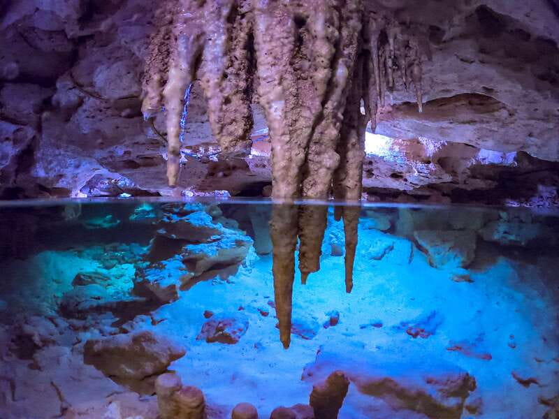Riviera Maya: Kantun Chi Cenotes, Snorkel & Jungle Hiking - Five cenotes, one jungle walk