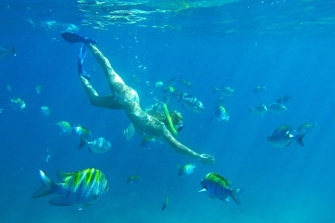 Riviera Maya Luxury Snorkeling Cruise with Lunch and Drinks - Swimming, paddleboarding, and water mats