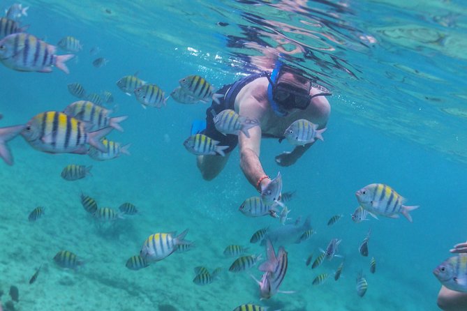 Riviera Maya Luxury Snorkeling Cruise with Lunch and Drinks - Who will enjoy this cruise most