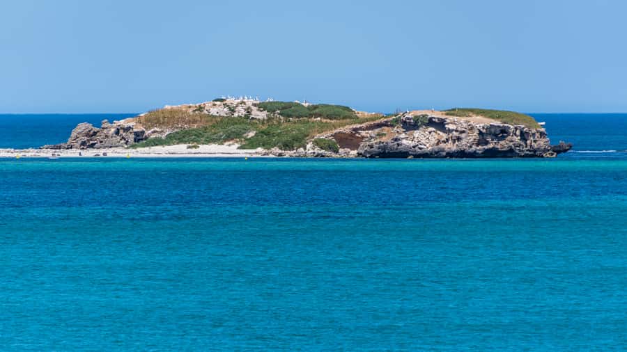 Rockingham: 3 Island Wildlife Snorkeling Cruise with Lunch - Lunch on the boat