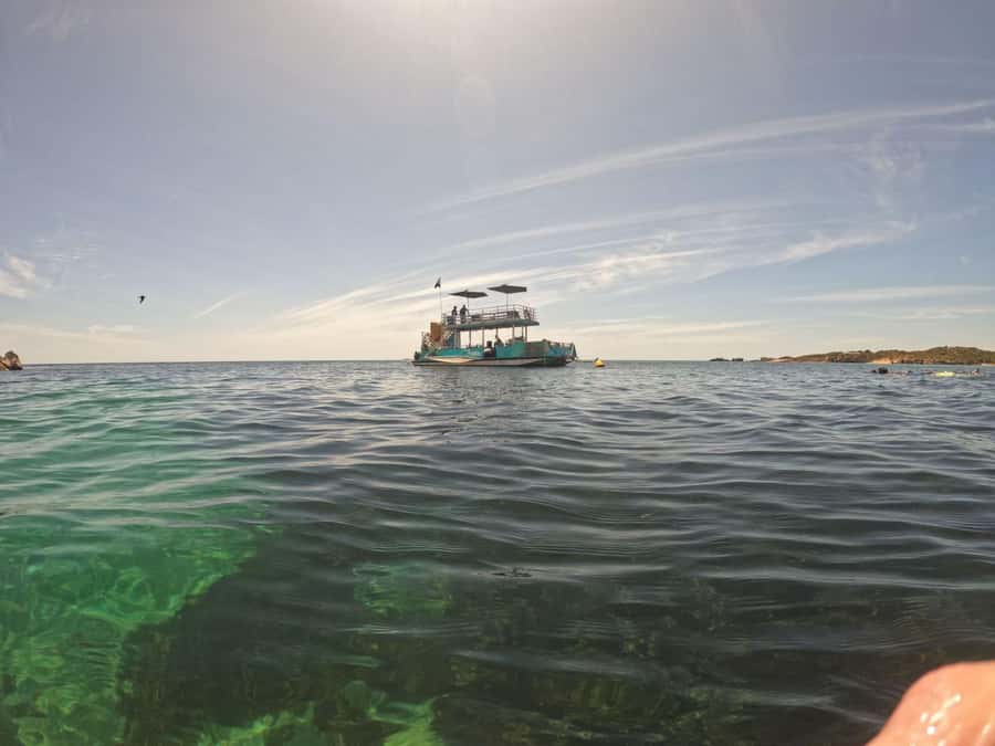 Rockingham: 3 Island Wildlife Snorkeling Cruise with Lunch - Is $176 per person good value?