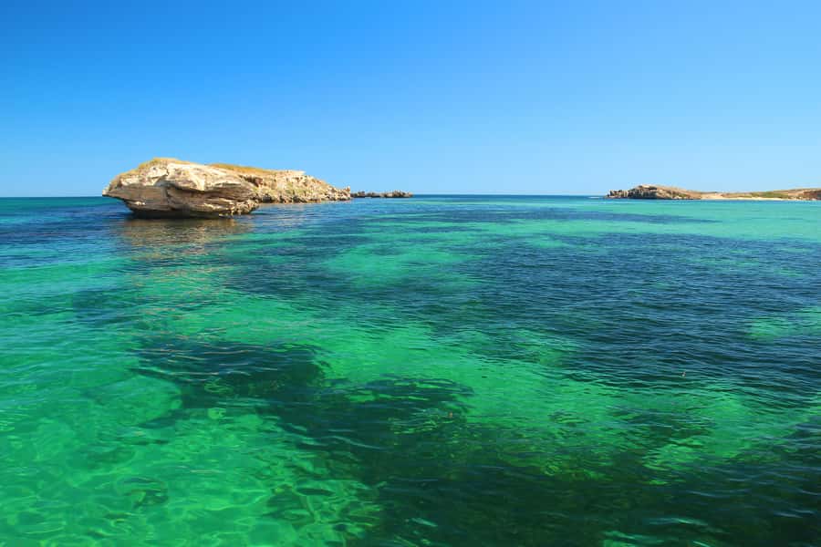 Rockingham: 3 Island Wildlife Snorkeling Cruise with Lunch - Who should book this experience?