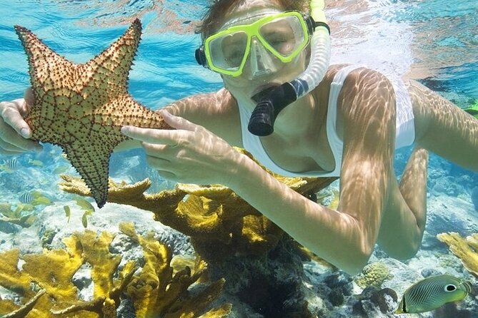 Rose Island Adventure: Snorkel, Sea Turtles, and Private Beach - A four-hour escape from Nassau to Rose Island