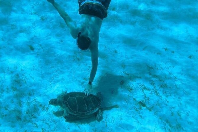 Rose Island Adventure: Snorkel, Sea Turtles, and Private Beach - Who will enjoy this trip most