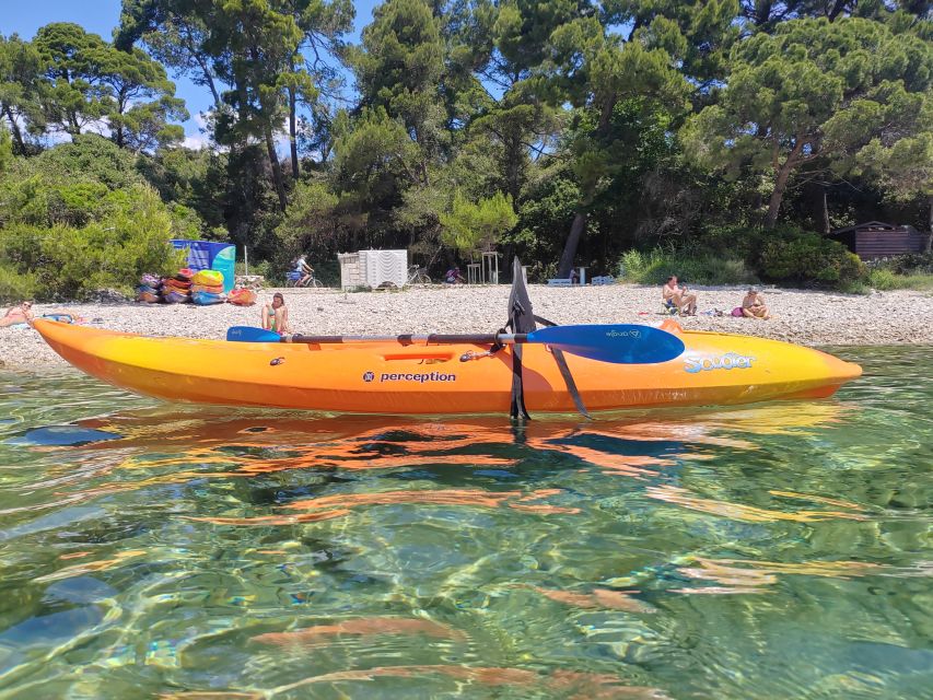 Rovinj: Golden Cape Desert Islands Kayak & Snorkeling Tour - Snorkeling in clear water, with realistic expectations