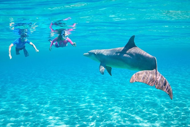 ROYAL Dolphin House & Water Sports Snorkeling Sea Trip - Hurghada - Key points at a glance