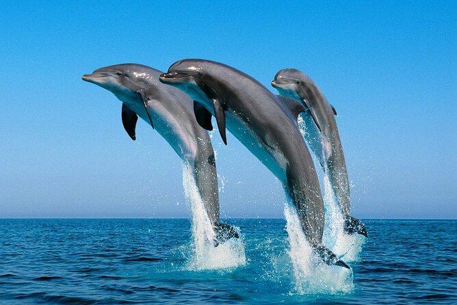 ROYAL Dolphin House & Water Sports Snorkeling Sea Trip - Hurghada - Water sports, weather, and changing plans