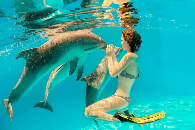 ROYAL Dolphin House & Water Sports Snorkeling Sea Trip - Hurghada - Dolphin House: the highlight with a big condition