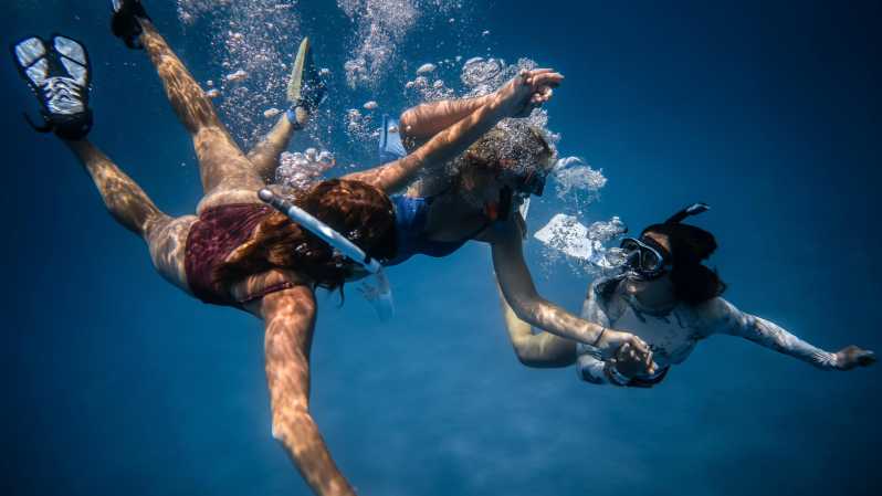 S. Miguel: Snorkeling adventure in Caloura - What you may see below the surface