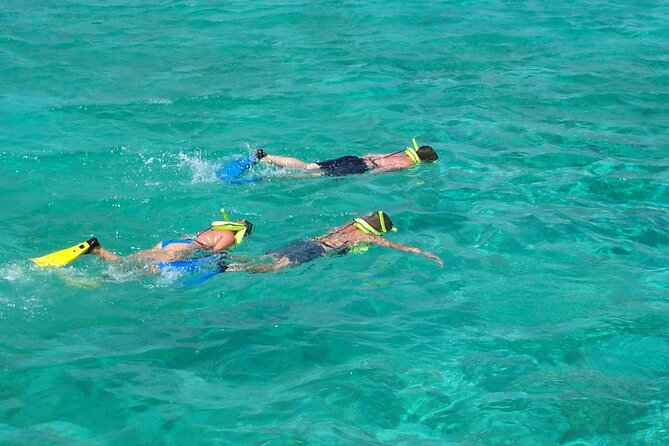 Sail and Snorkel at Cades Reef - The Northbound Sail and Open Bar