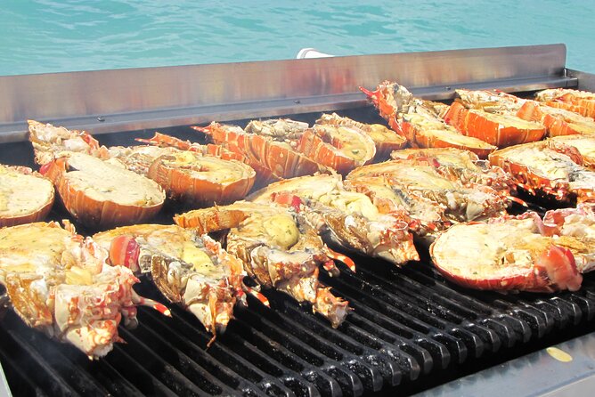Sail and Snorkel at Cades Reef - Weather, Delays, and Other Practical Concerns