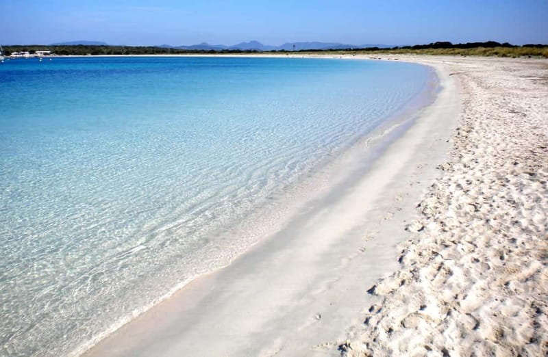 San Antonio: Es Vedrà & Formentera Boat Tour with Snorkeling - Espalmador brings swimming and paella together